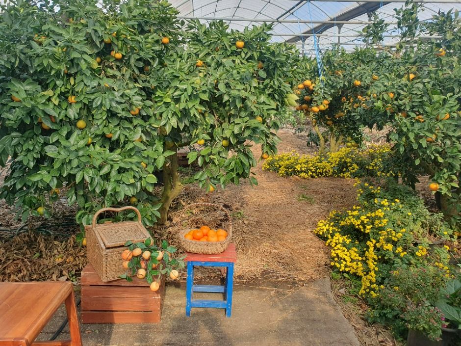 해품은체험농장