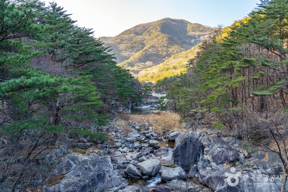 동해_금란정 (9)