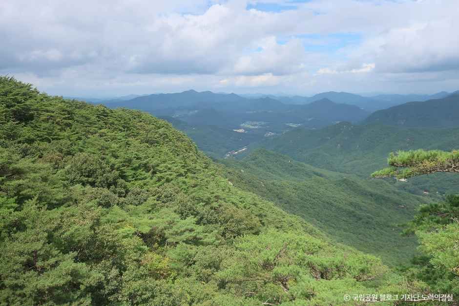 thumbnail-도명산-4