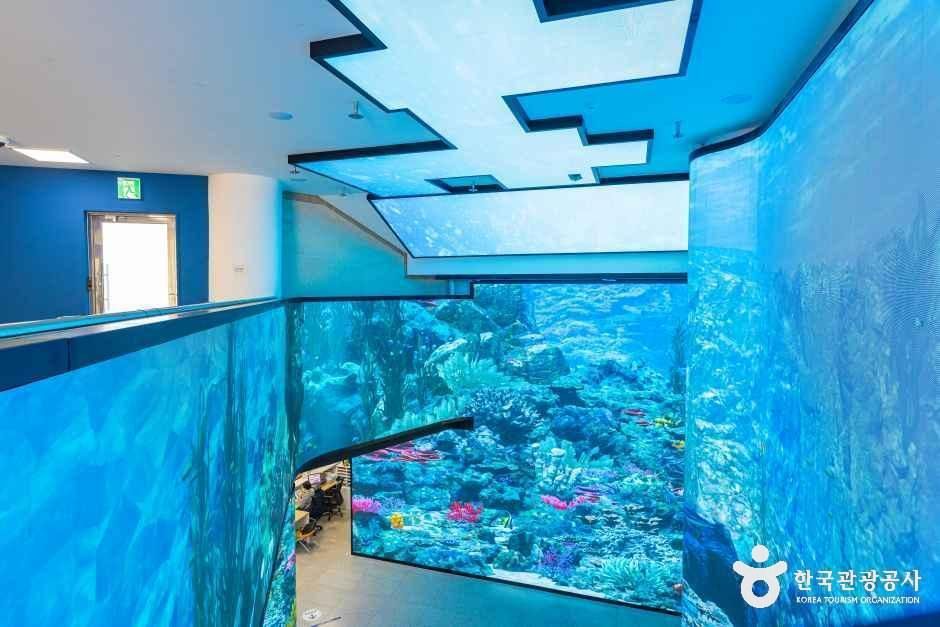 thumbnail-강화자연사박물관-8