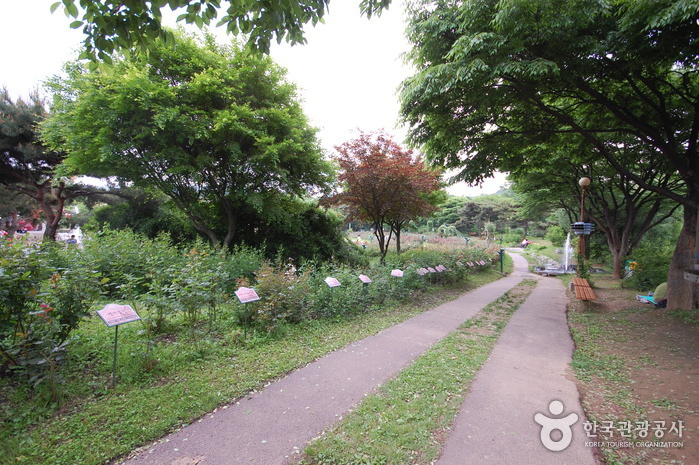 Seoul Grand Park (서울대공원-서울동물원)