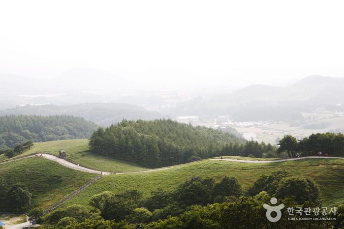 Daegwallyeong Sheep Farm (대관령 양떼목장)