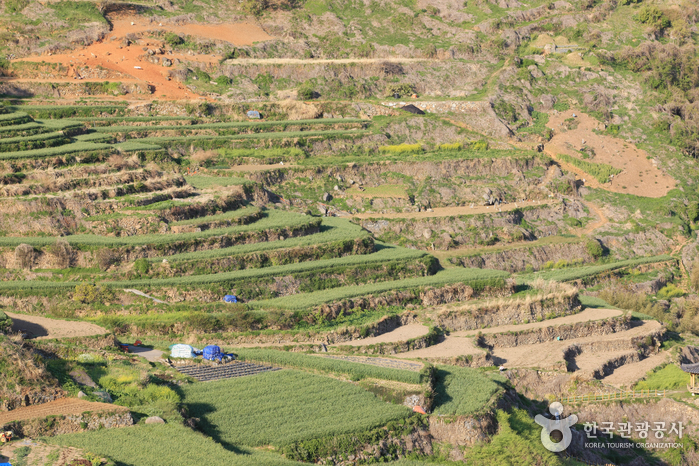 Daraengi Village (가천 다랭이마을)