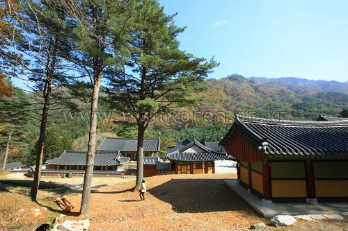 Guryongsa Temple (구룡사)