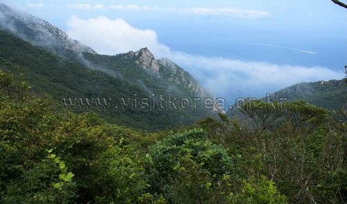 Hongdo Island (홍도)