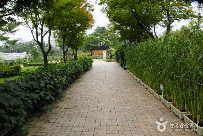 Hanbat Arboretum (한밭수목원)0