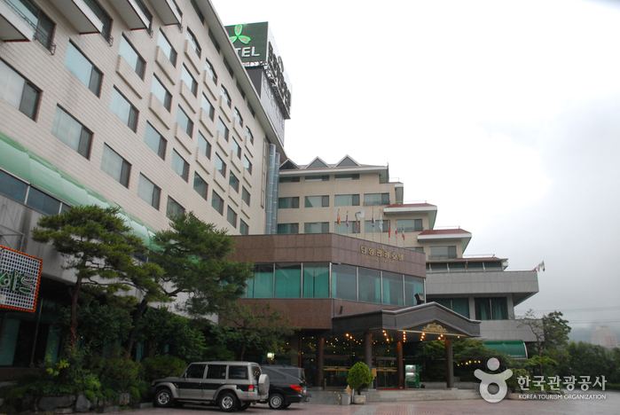Danyang Hotel (단양관광호텔)