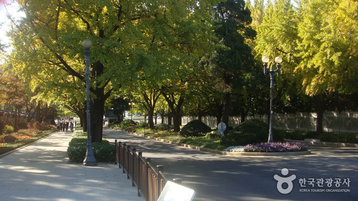 The Street in front of Cheongwadae (The Blue House) (청와대 앞길)0