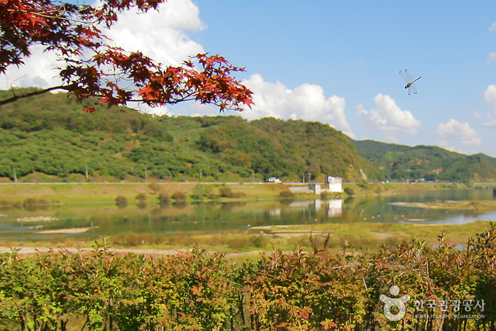 비내길(비내섬)1