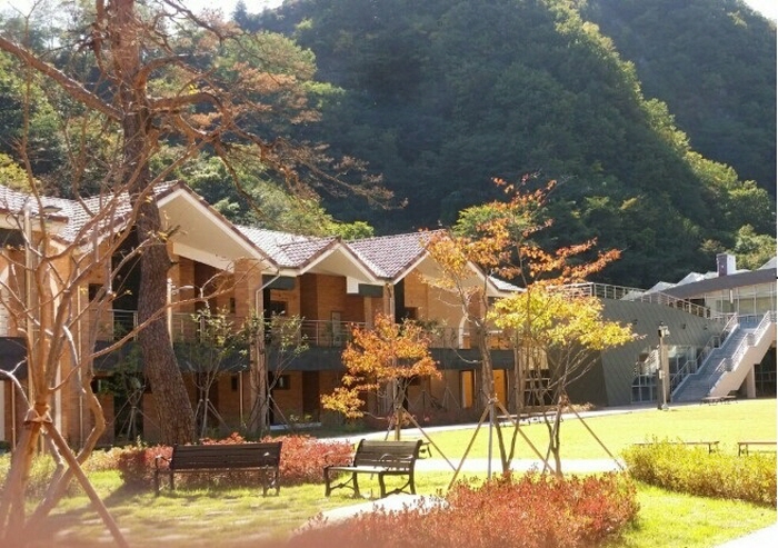 동해무릉건강숲2