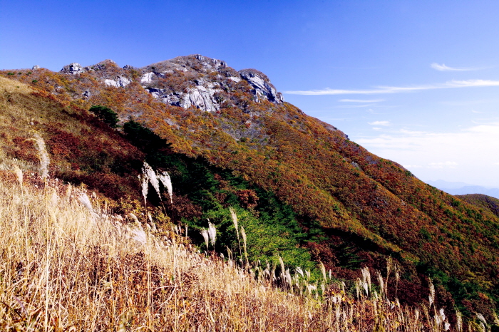 Berg Baegunsan (백운산(광양))
