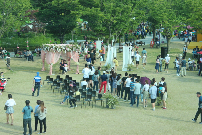 곡성세계장미축제 2018 사진7