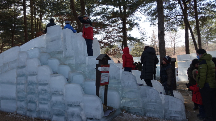 남이섬 겨울축제 'Winter Wonder, Nami Island' 20195