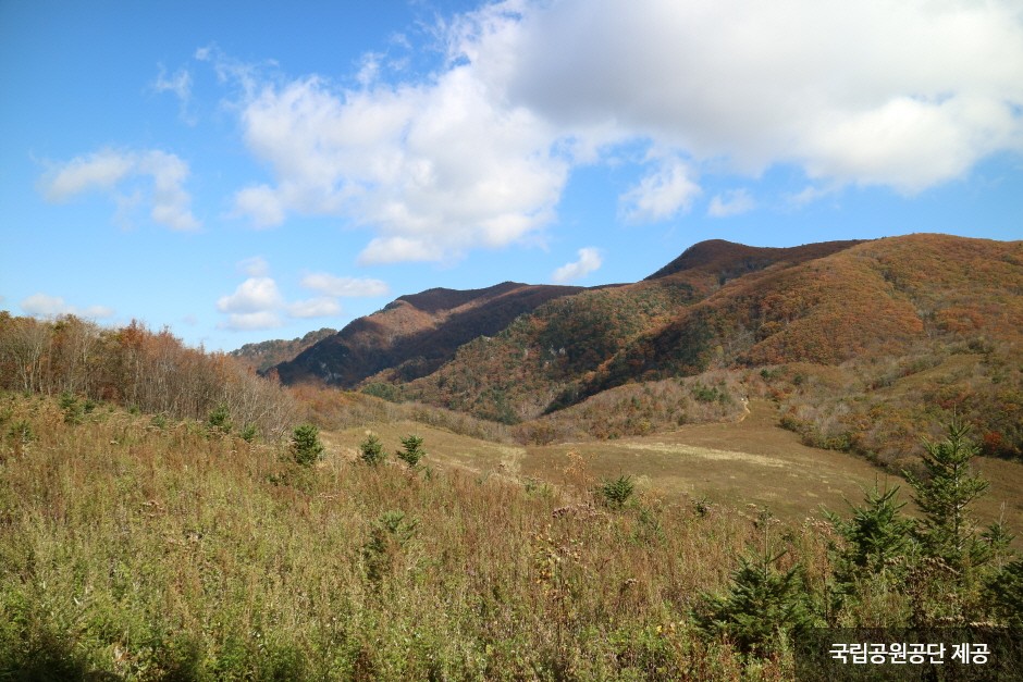 Национальный парк гор Одэсан (오대산국립공원)13 Miniatura