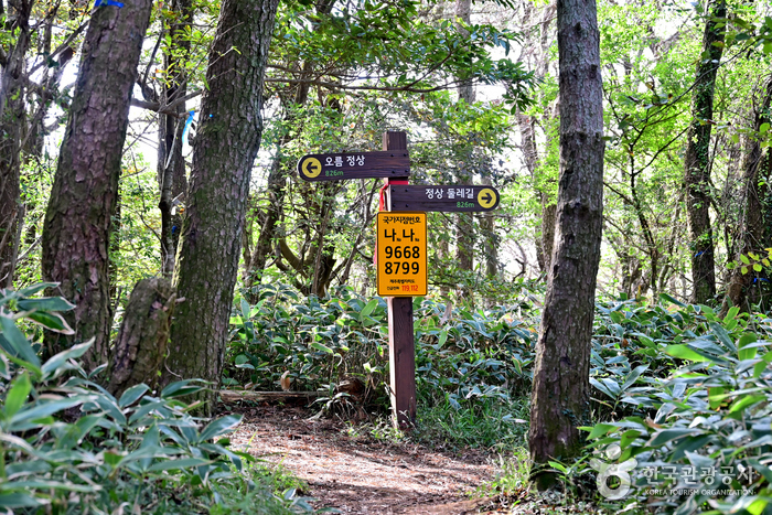 바리메 / 바리메오름1