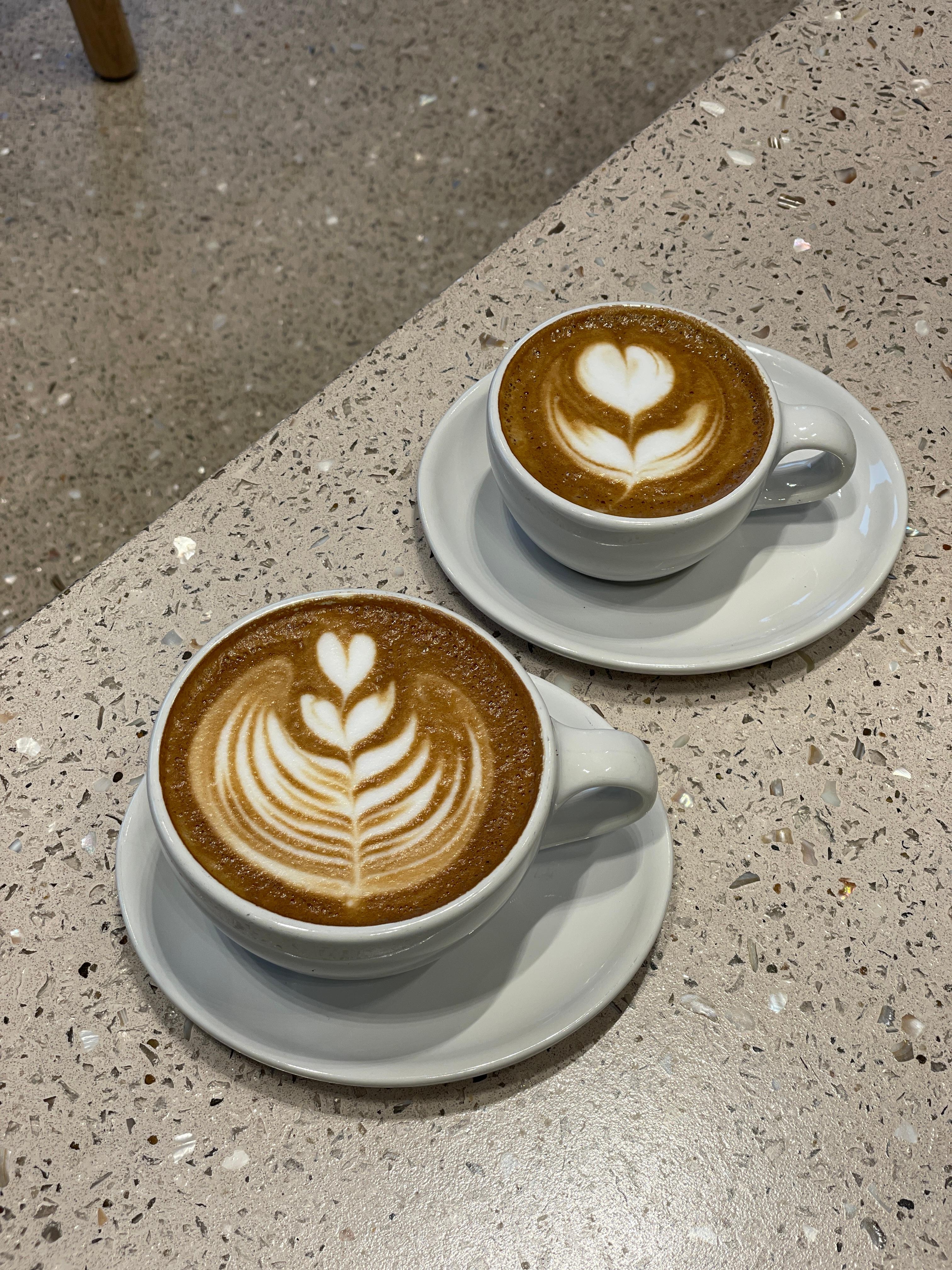 블루보틀 제주 카페5