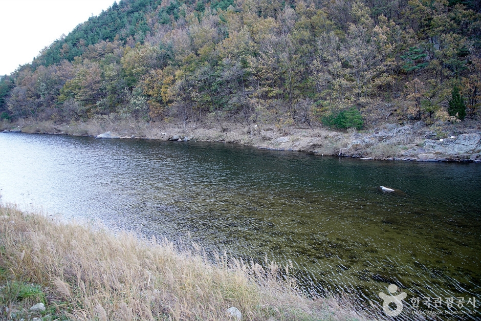 남대천(강릉)