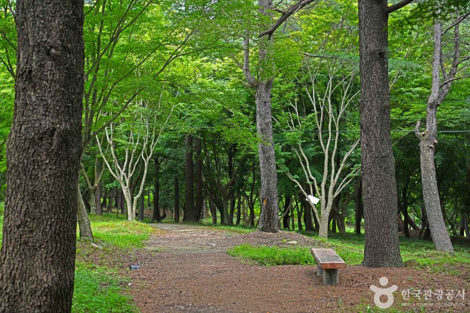 내장산수목원