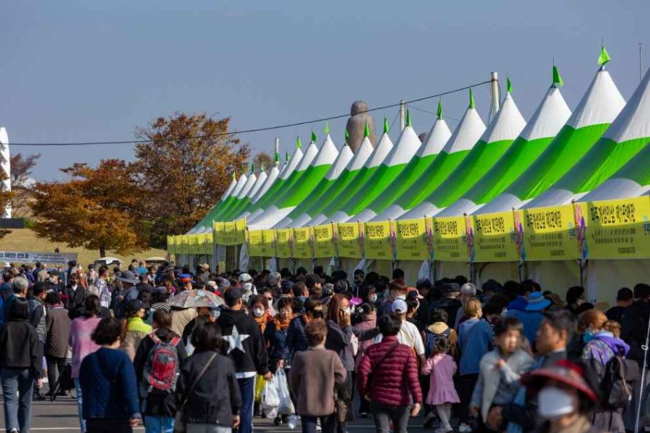 파주개성인삼축제