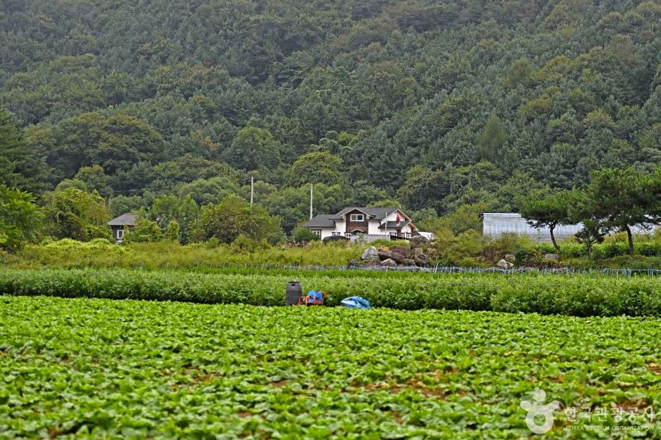 팔봉참살이마을