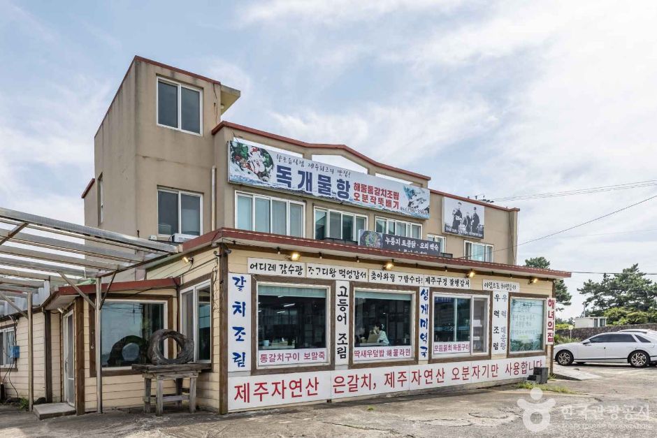 제주_독개물항 (10)