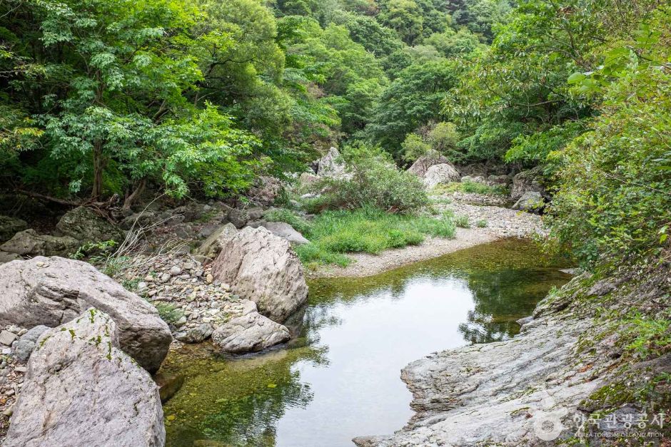 절골협곡 (청송 국가지질공원)