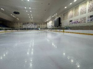 성남_탄천종합운동장 빙상장 (2)