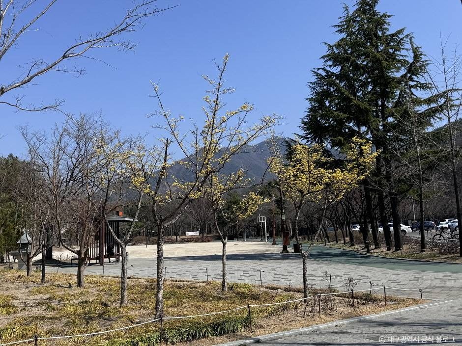 월광수변공원