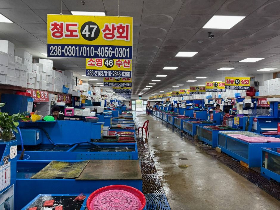 울산_방어진 활어센터 (4)