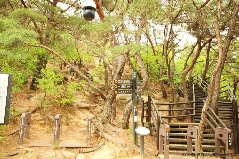 서울_[북한산 둘레길 8구간] 구름정원길 (7)
