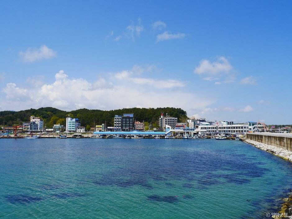양양_물치항활어회센터 (4)