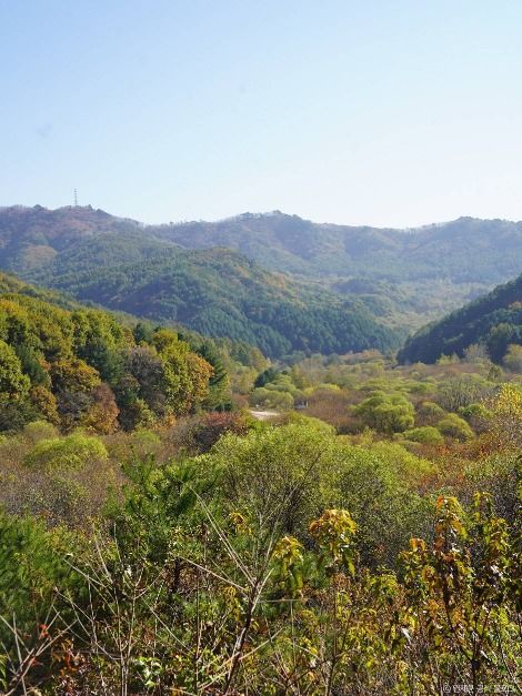 비밀의정원