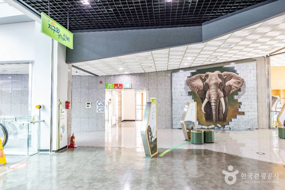 thumbnail-충청북도자연과학교육원 과학체험관-21