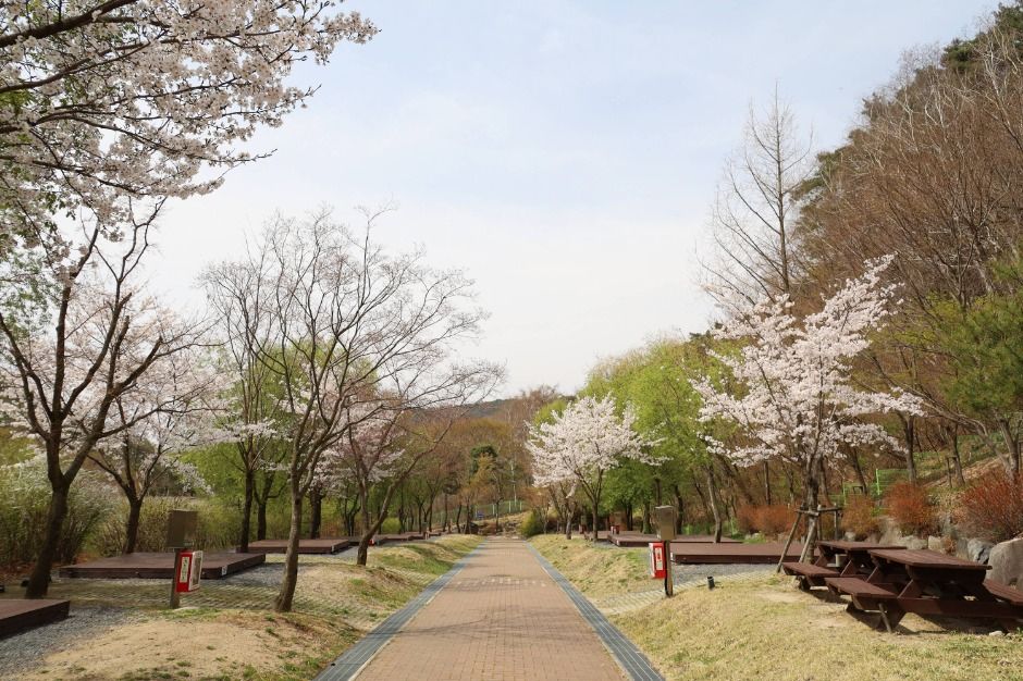 팔공산국립공원 도학야영장