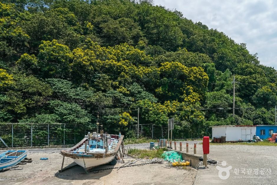 포항 발산리 모감주나무와 병아리꽃나무 군락