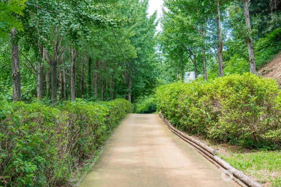 초록산산림욕장