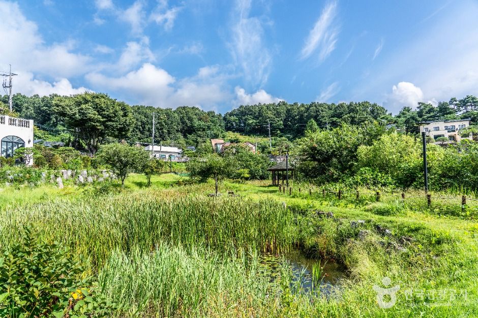 thumbnail-삼정생태공원-5