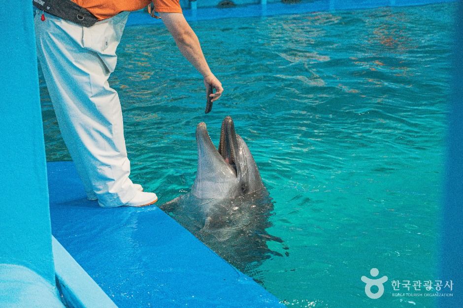 장생포 고래생태체험관