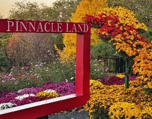 피나클랜드수목원2