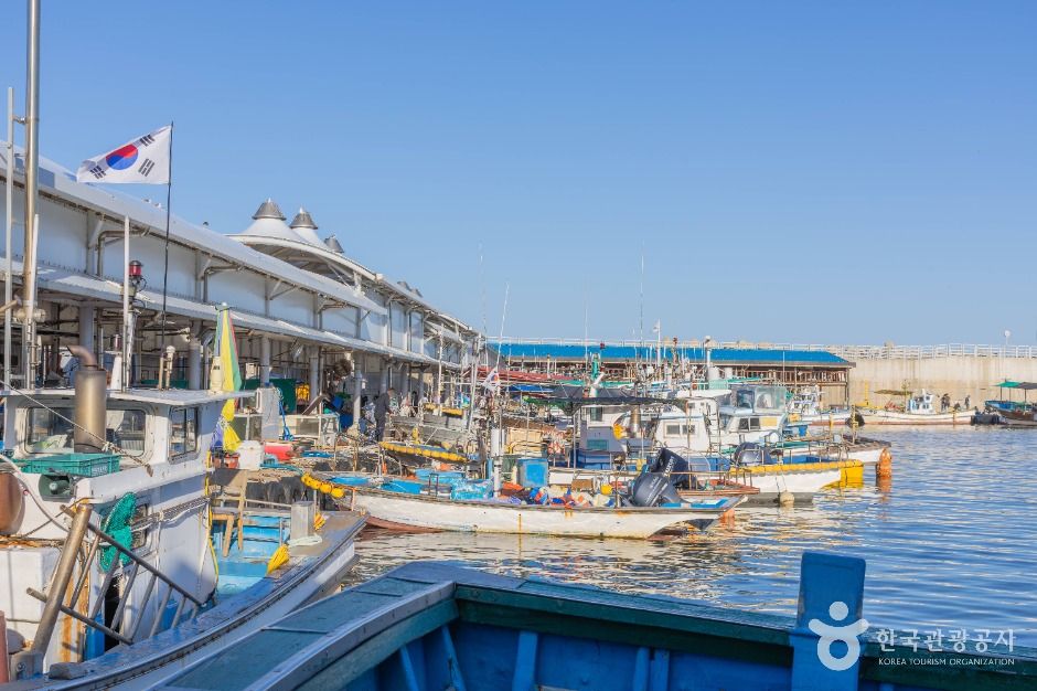고성_봉포항활어회센터 (7)