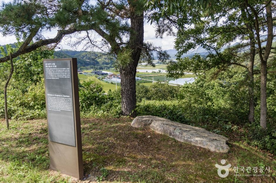 금산 천내리 용화리 고인돌