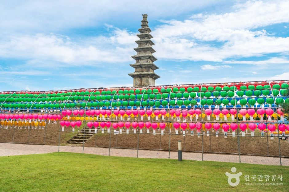 충주_충주 탑평리 칠층석탑 (5)