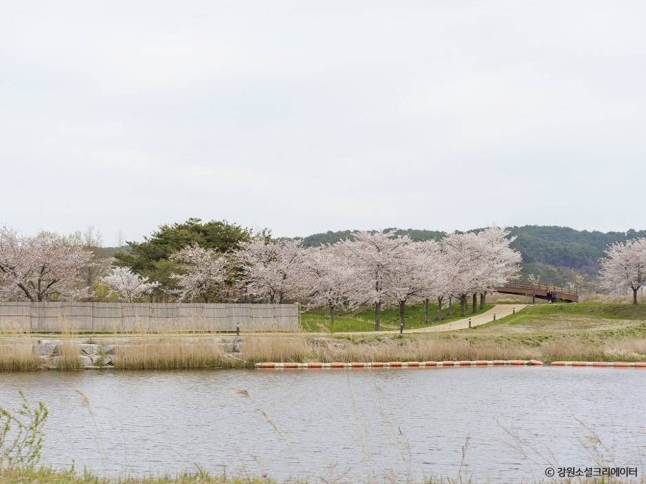 경포생태저류지
