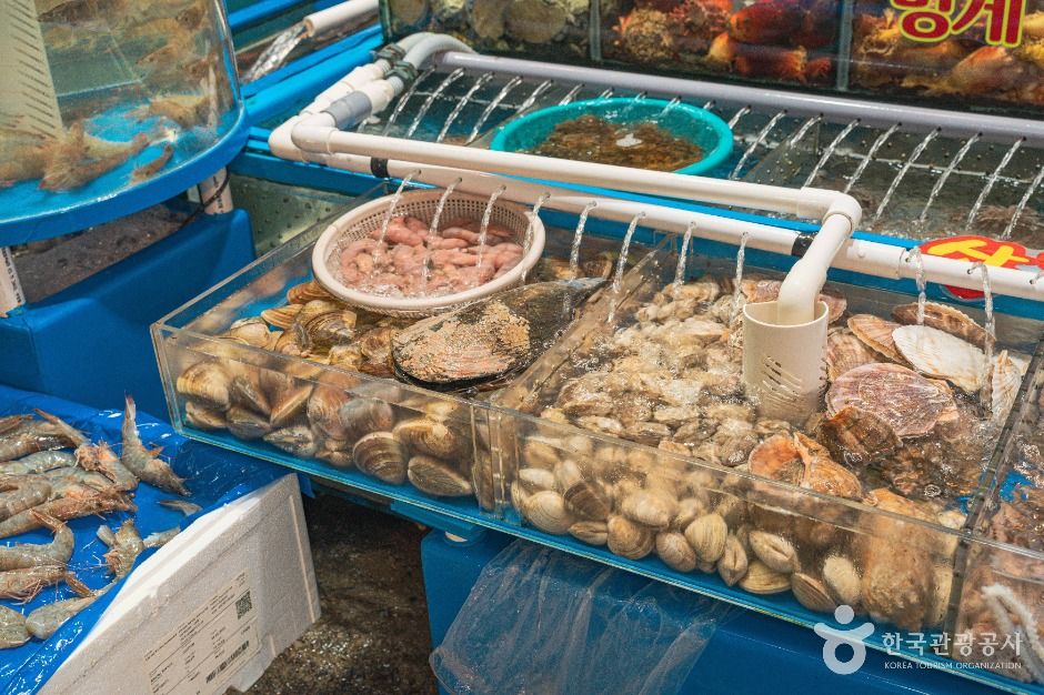 서울_가락수산시장 (5)