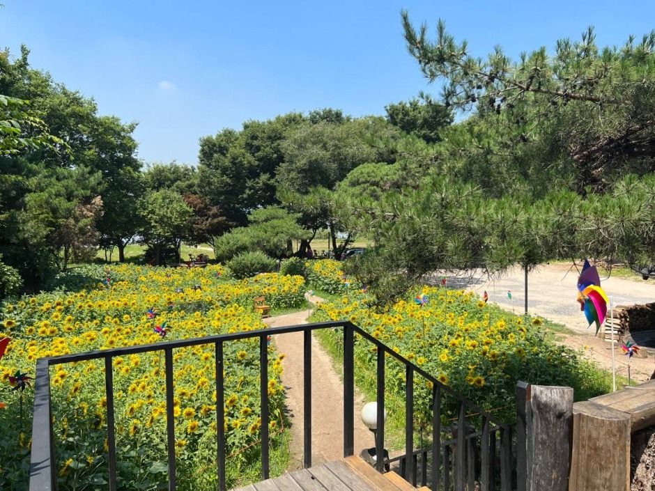 남양주_온누리장작구이 팔당본점 (2)