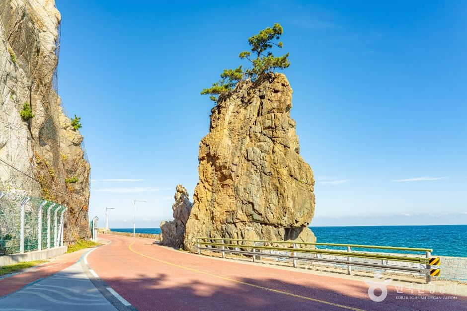 울진_울진 해안도로 (6)