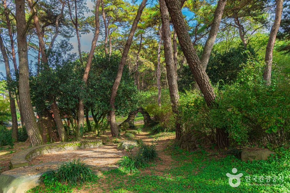 광주_제봉산 마법의 숲 체험원 (5)