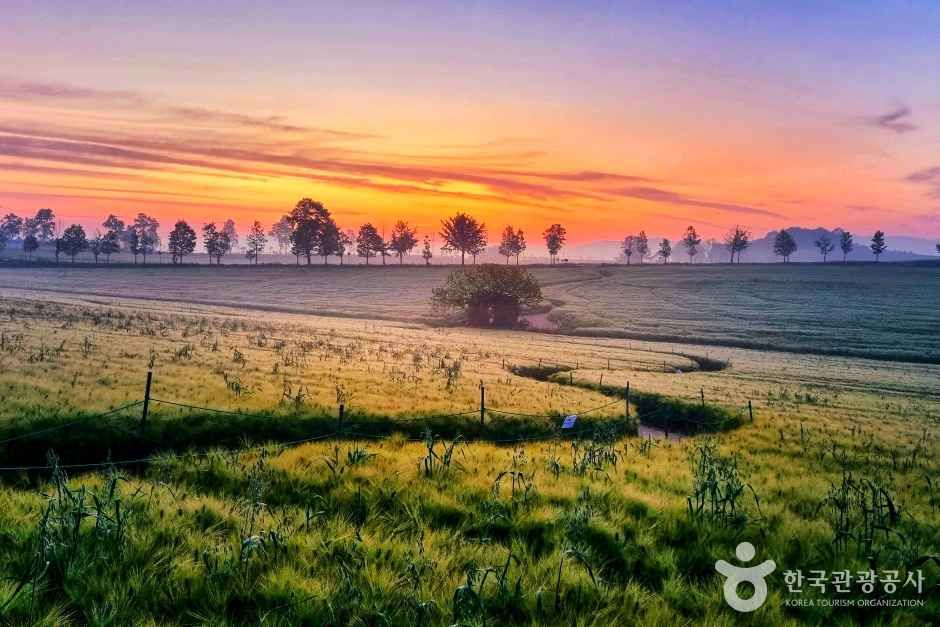 thumbnail-보리나라 학원농장-3