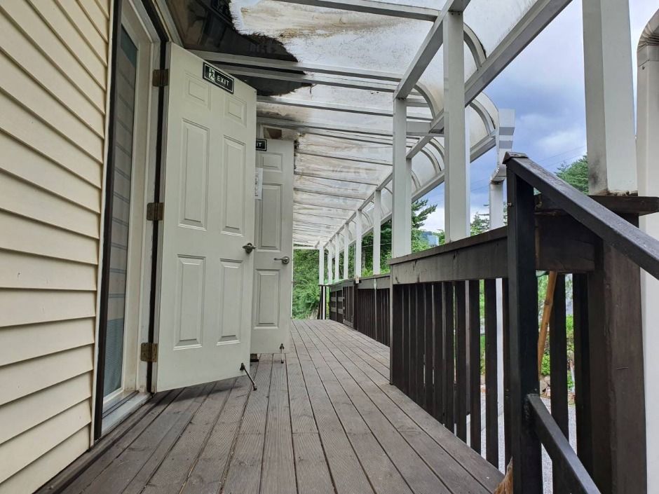 정선_흙과소나무 (5)