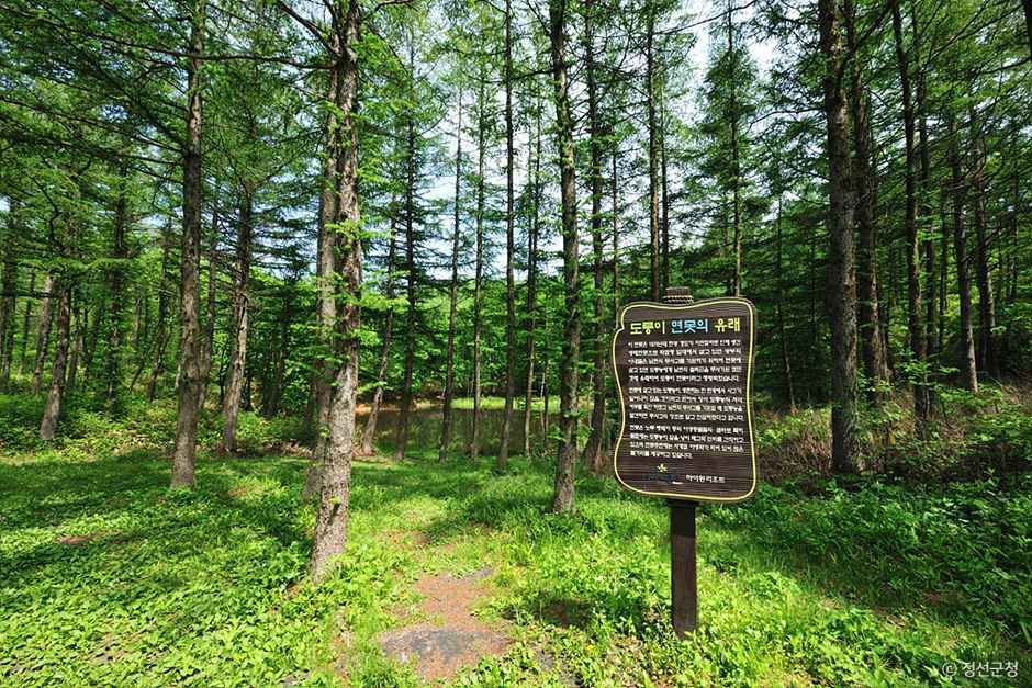 thumbnail-도롱이연못-3